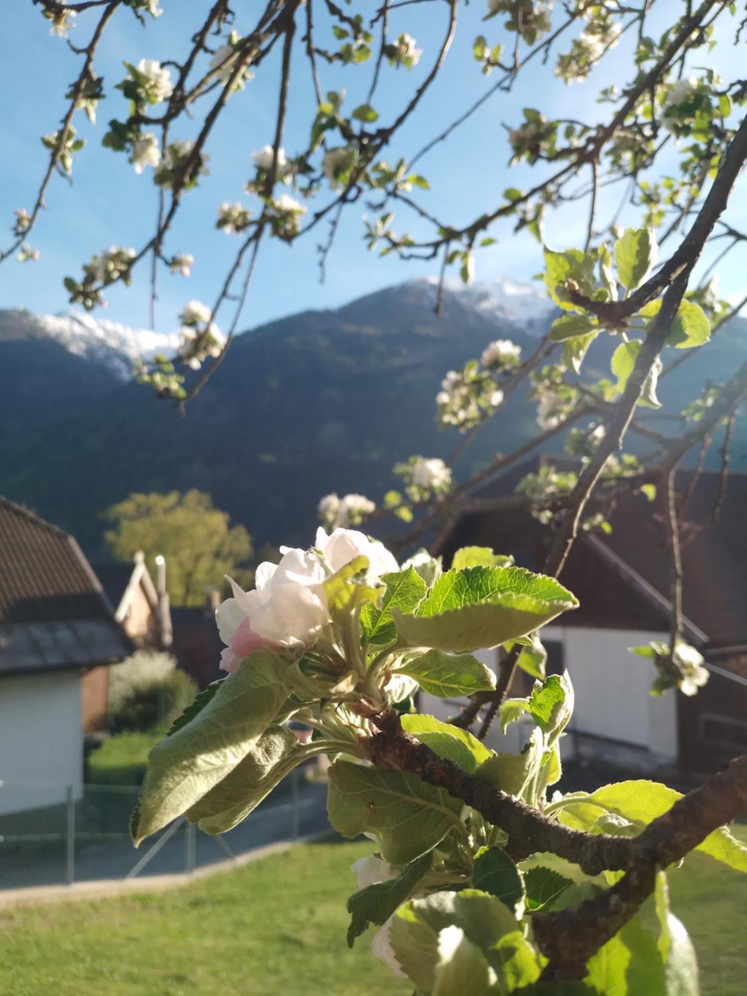 Herrenschmiede Obervellach